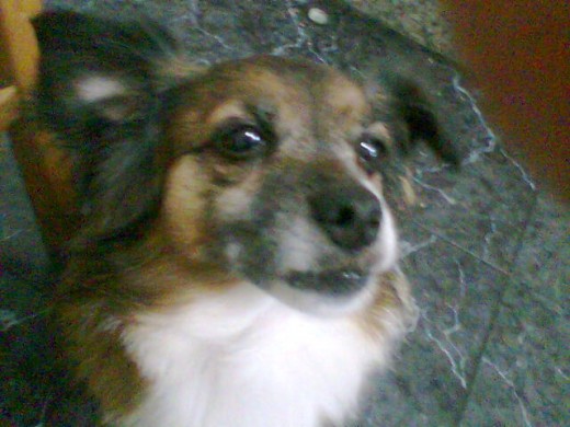 k wapa es mi ninia k wapa es mi ninia